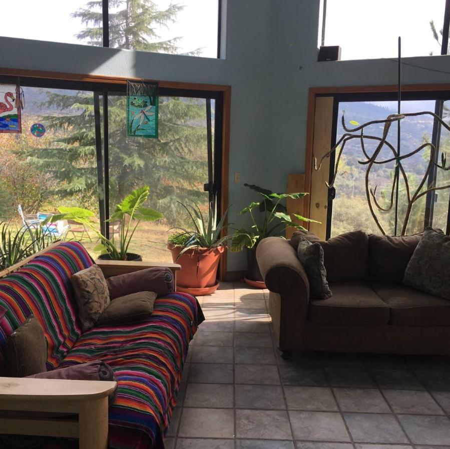 Sequoia Forest Retreat Badger المظهر الخارجي الصورة